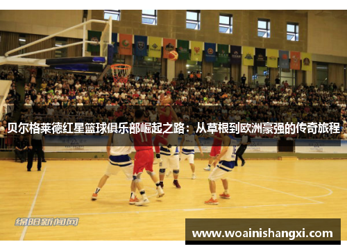 贝尔格莱德红星篮球俱乐部崛起之路：从草根到欧洲豪强的传奇旅程
